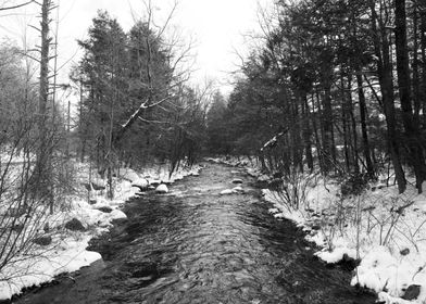 New Hampshire creek