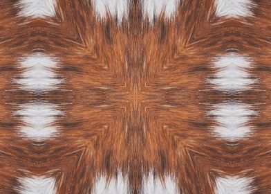 abstrat on animal fur