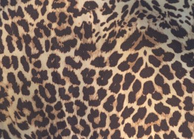 abstract leopard fur 