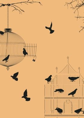 Pigeons and bird cages