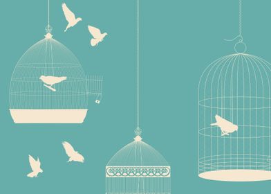 Pigeons and bird cages