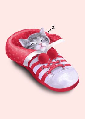 Cat in the shoe