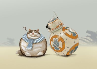 Cat and Droid
