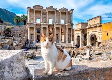 Library of Celsus