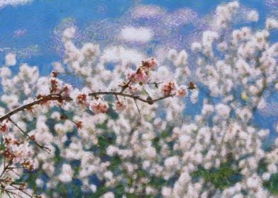 Blooming Almond Tree