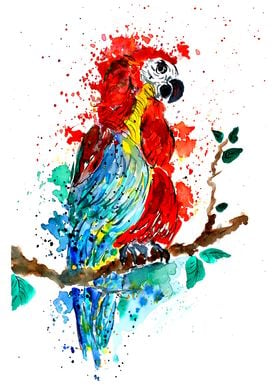 Ara Macaw Watercolor 
