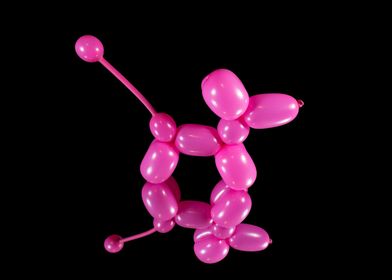 Pink Poodle Balloon Mirror