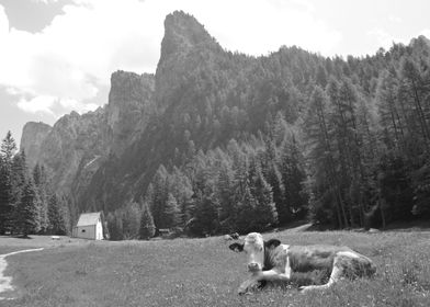 Dolomites Landscape 2
