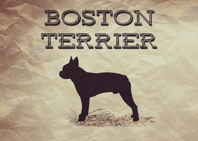retro boston terrier