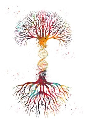 DNA Tree 