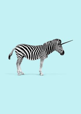Unicorn Zebra Animal