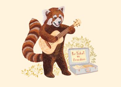 Red panda play guitar 