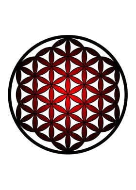 Flower of Life spiritual 