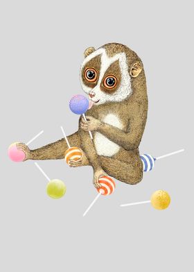 Slow loris and candies 