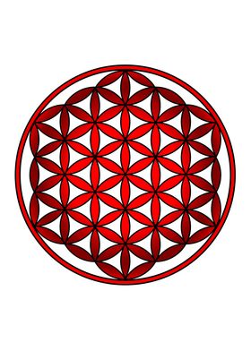 Flower of Life spiritual 