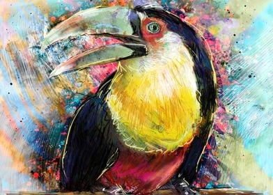 Toucan Bird Paradise Art