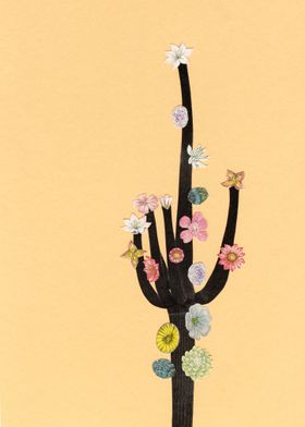 Flowering Cactus