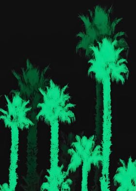 green palm tree