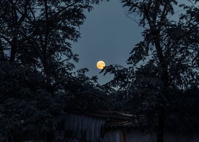 Fullmoon