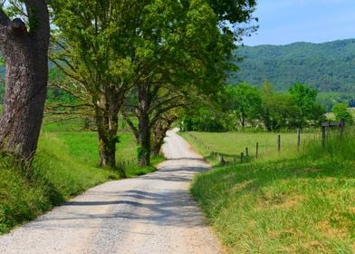 Country rode Cades Cove TN