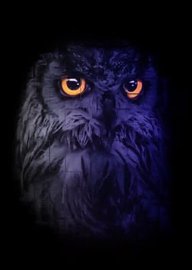 The dark owl 