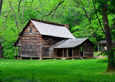 The old Home in the woods