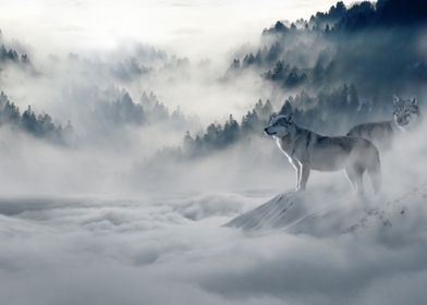 Wolves by Fog