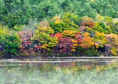 Colorful autumn painting