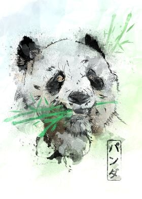 Watercolor Panda Bear