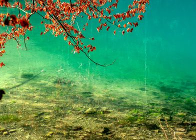 Clear water at Blautopf