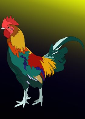 A nice rooster