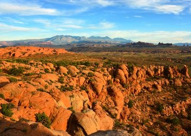 The Western Desert