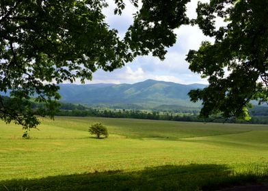 Cades Cove Farmland