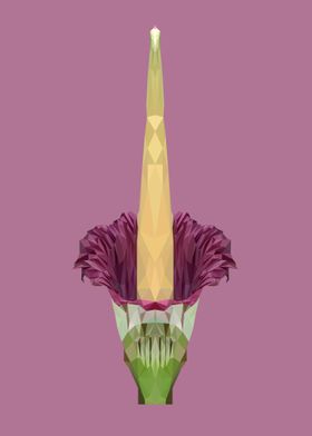 corpse flower