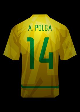 Anderson Polga Brazil 2002