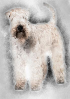 SoftCoated Wheaten Terrier