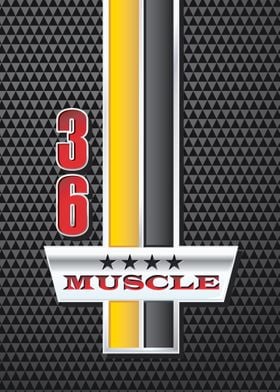 36 Muscle