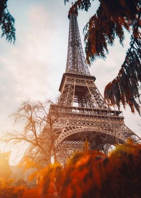 Sneak Peak on Eiffel Tower