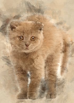 Portrait of Scottish Fold 