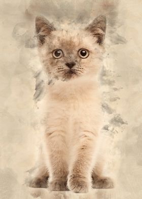 Portrait of British Shorth