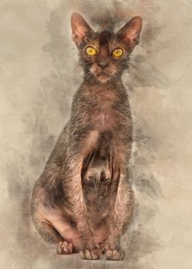 Lykoi cat also called the 