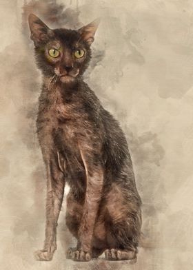Lykoi cat also called the 