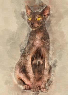 Lykoi cat also called the 