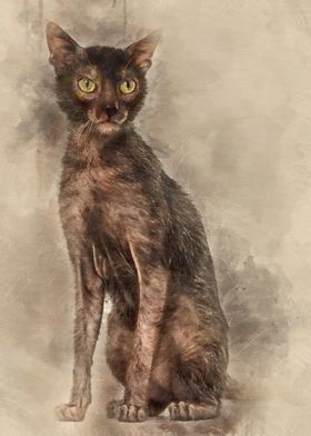 Lykoi cat also called the 