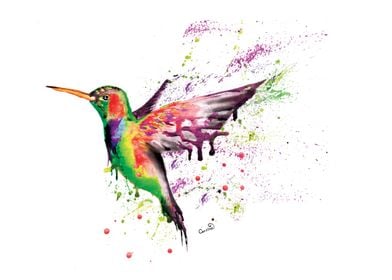 Splatterink Hummingbird 