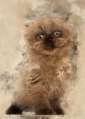 Portrait of Highland fold 