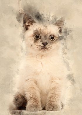 Portrait of British Shorth