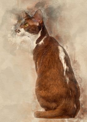 Rear view of an Oriental S