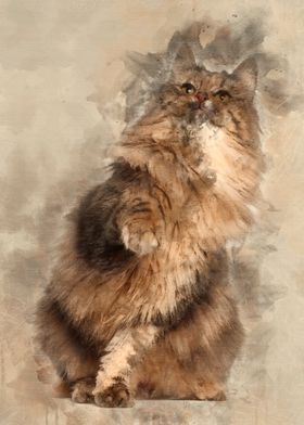 Norwegian Forest Cat 1 and