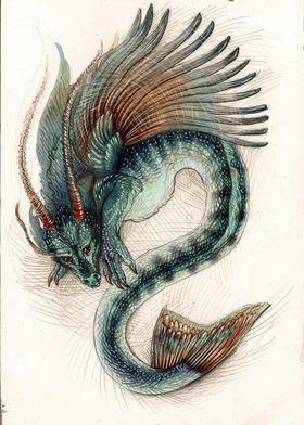 Capricorn dragon